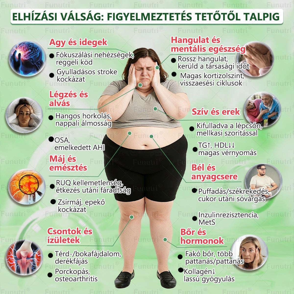 Magyar szakértők által ajánlott 💖Funutri® 10 az 1-ben anyagcsere-támogató karcsúsító nano mikro-tűs tapasz